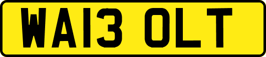WA13OLT