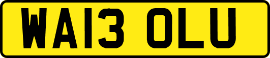 WA13OLU