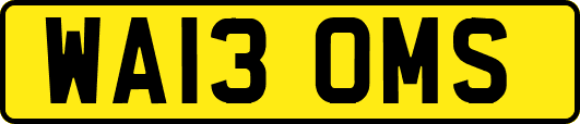 WA13OMS