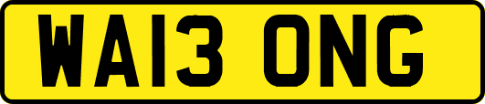 WA13ONG