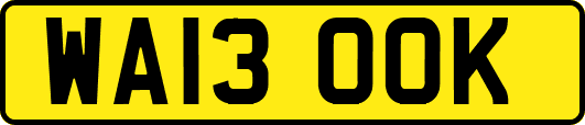 WA13OOK