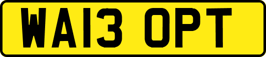 WA13OPT