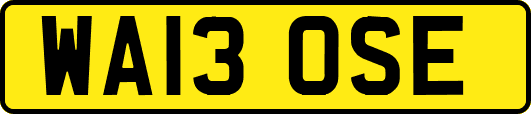 WA13OSE