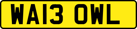 WA13OWL