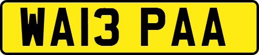 WA13PAA