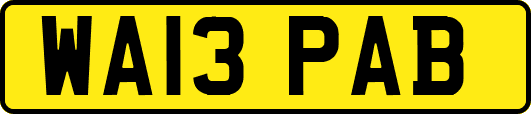 WA13PAB