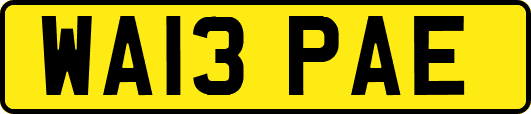 WA13PAE