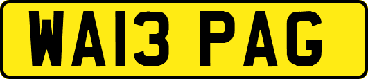 WA13PAG