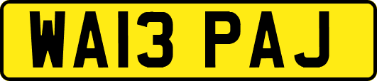 WA13PAJ