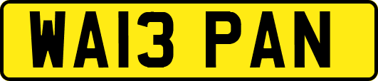 WA13PAN