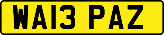 WA13PAZ