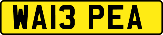 WA13PEA
