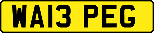 WA13PEG