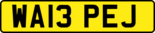 WA13PEJ