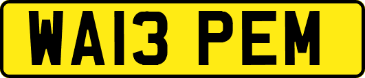 WA13PEM