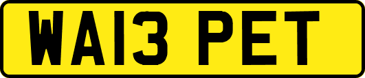 WA13PET