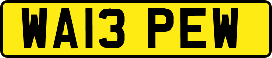 WA13PEW