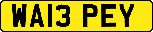 WA13PEY