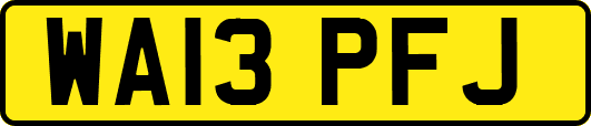 WA13PFJ