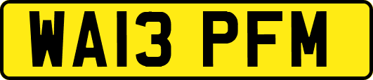 WA13PFM