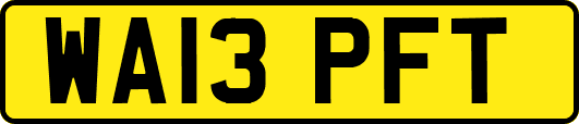 WA13PFT