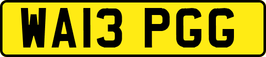 WA13PGG