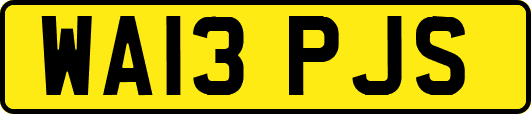 WA13PJS