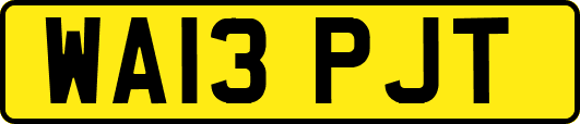 WA13PJT