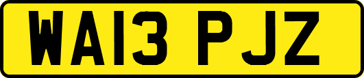 WA13PJZ