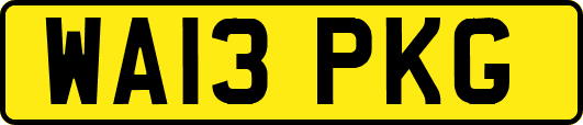 WA13PKG