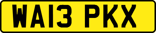 WA13PKX