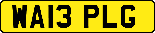 WA13PLG