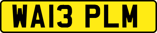 WA13PLM