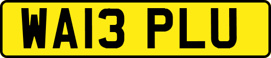 WA13PLU