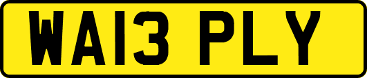 WA13PLY
