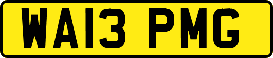 WA13PMG