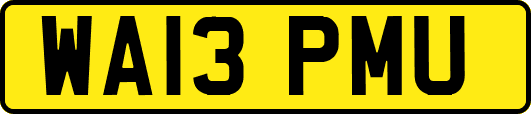 WA13PMU