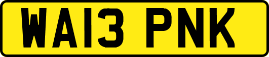 WA13PNK