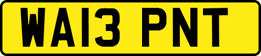 WA13PNT