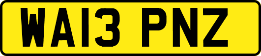 WA13PNZ