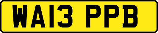 WA13PPB