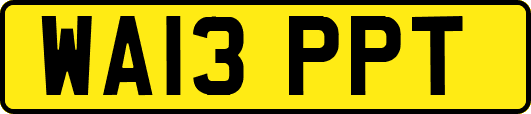 WA13PPT