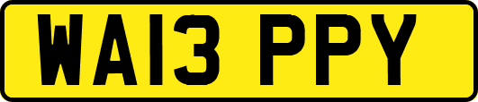 WA13PPY