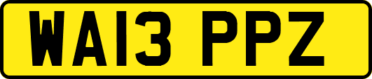 WA13PPZ