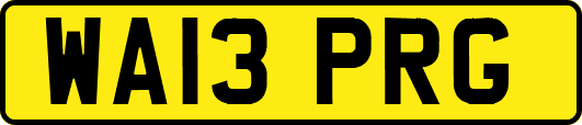 WA13PRG