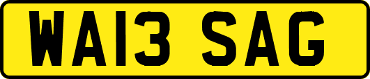 WA13SAG
