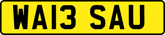 WA13SAU