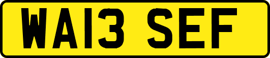 WA13SEF