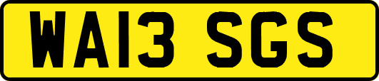 WA13SGS
