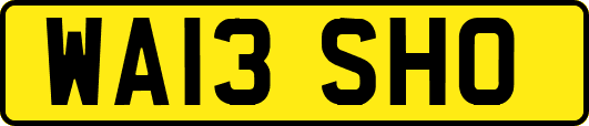WA13SHO